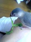 06-06-01_12-38.jpg