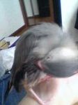 06-06-03_13-22.jpg