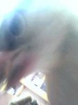 06-06-06_08-42.jpg