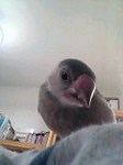 06-06-09_09-21.jpg