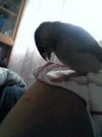 06-06-11_11-06.jpg