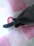 06-07-03_08-05.jpg