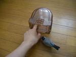 IMGP2189-2.jpg