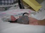 IMGP2220-2.jpg
