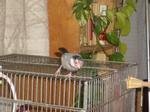 IMGP2340-2.jpg