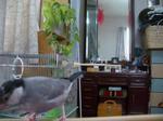 IMGP2376-2.jpg