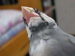 IMGP2478-2.jpg