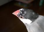 IMGP2586-2.jpg