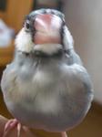 IMGP2669-2.jpg
