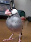 IMGP3251-2.jpg