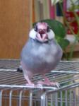 IMGP3417-2.jpg