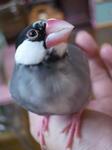 IMGP3531-2.jpg