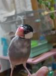 IMGP3546-2.jpg