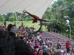 IMGP3748-2.jpg
