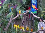 IMGP3758-2.jpg