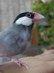 IMGP3871-2.jpg