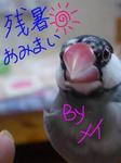 IMGP4029-3.jpg