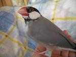 IMGP4184-2.jpg