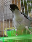 IMGP4215-2.jpg