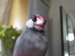 IMGP4269-2.jpg