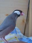 IMGP4288-2.jpg