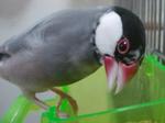 IMGP4584-2.jpg