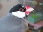 IMGP4622-2.jpg